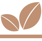 Glicerina vegetal