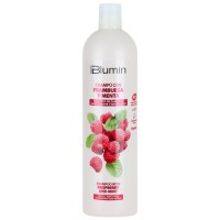 Champú