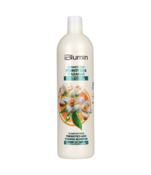 Champú