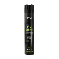 Laque en spray professionnelle Dual Plex Fix Shine 314 - 514