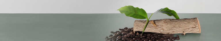 Cafeína y Quinina